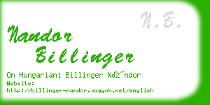 nandor billinger business card